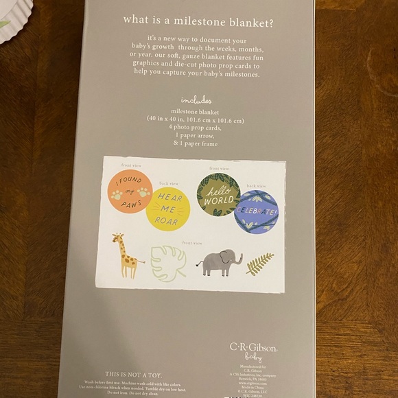 C.R Gibbons milestone blanket &6 photo props 40x40 - Picture 3 of 10